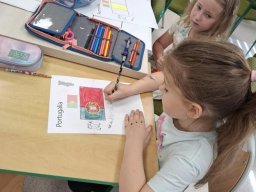 4449237459135932772352888747806896000502335n